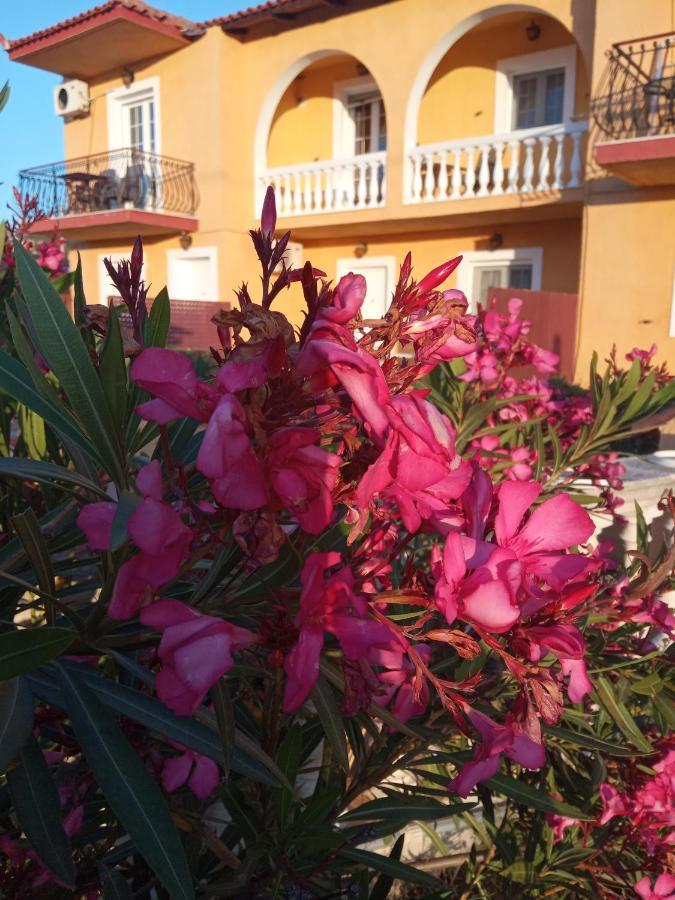 Residence Ionian St&Apts Argostoli  Eksteriør billede